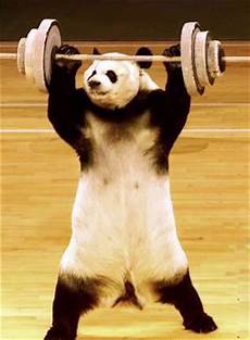 Weight Lifting